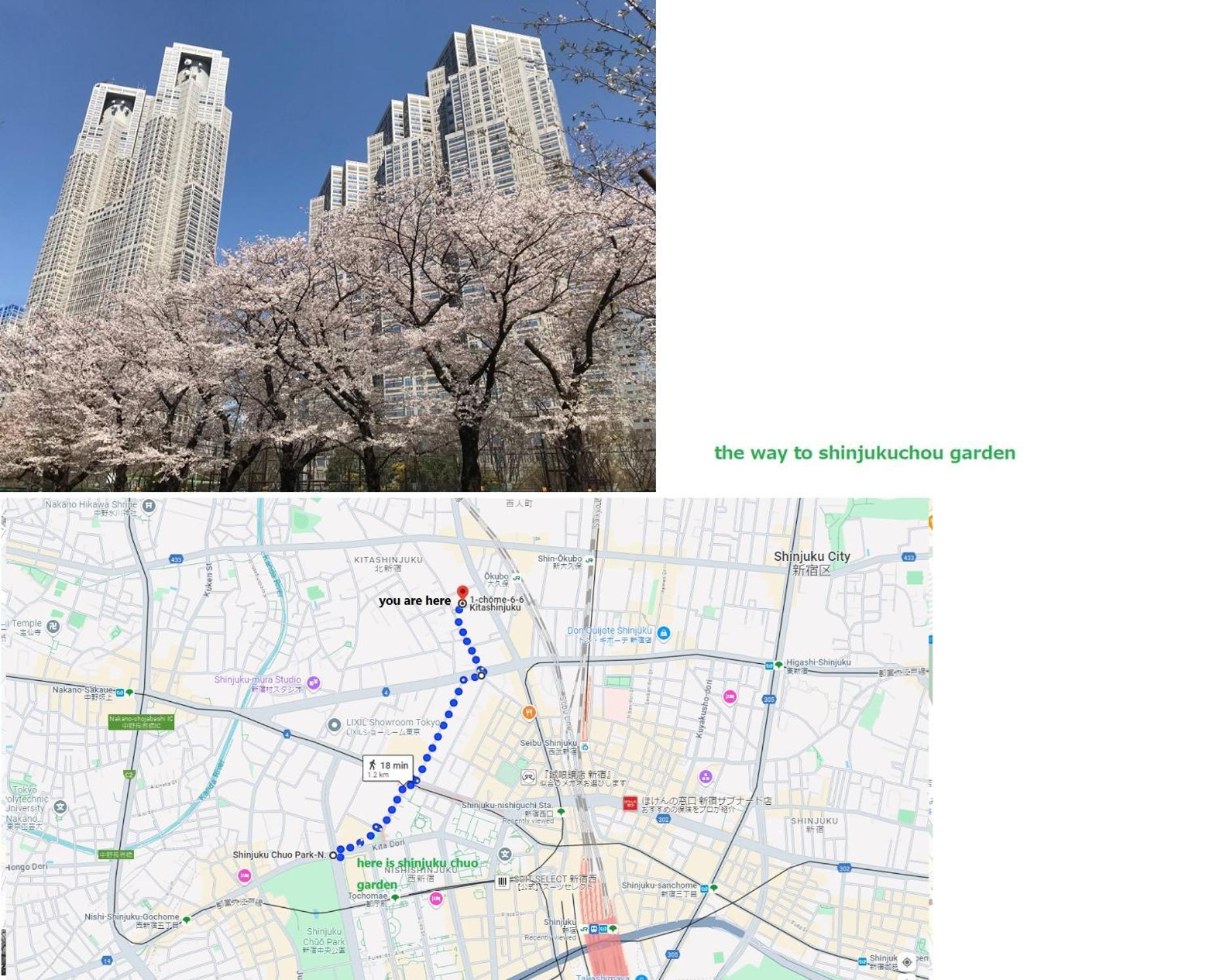 大久保駅から４分、貸切、韓国ダウン至近、新宿/歌舞伎町に徒歩圏内 、단독사용민박 Токио Экстерьер фото